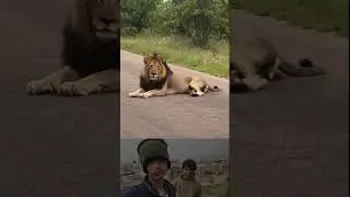 Hello guys aap log dekh sakte hai #animals #animal #animalshorts
