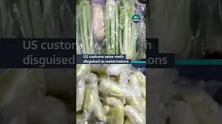 US customs have noticed smugglers trying to use produce to get drugs across the border #itvnews