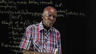 ELIMIKA BIOLOGY QUESTION REVIEW