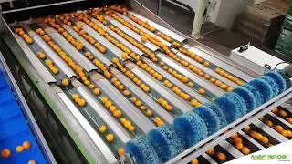 SORTERS-MAF RODA AGROBOTIC