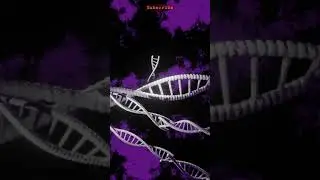 DNA - MODEL | Blender | Yashvanth Sankar  |