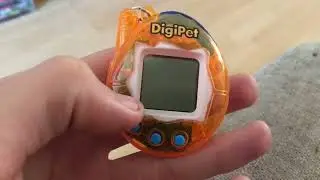 DigiPet Play Time 😂