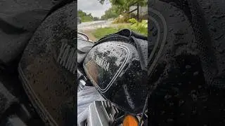 RX 100 Vibe