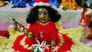 আজ গোপালকে শীতের পোশাক পরিয়ে দিলাম। Jagannath Pushpa blog