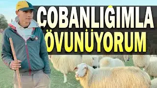 Köyde Çobanlık Yapan Lise Öğrencisi Zeynal Herkese Örnek Oldu! -