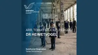 V&ouml;gel &uuml;ber Solothurn