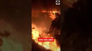 &ldquo;Pacific Palisades Wildfire Evacuations and Emergency Response&rdquo;