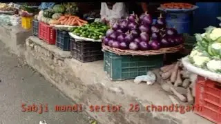 chandigarh Grain market sector 26 sabji mandi sector 26 chandigarh best market 🌽🥦🥕🍒🍎🍉