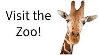 Let's Visit the Zoo - Virtual Field Trip for Kids