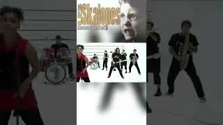 Les Skalopes  🏁  Chasse &agrave; l Enfant  📅 2005 📀 Trauma Social &ndash;  Le Keupon Voyageur  #lesskalopes