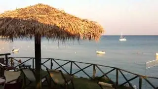 Ifalos Bar Zakynthos