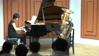 Concertino Mov.1/Jan Koetiser