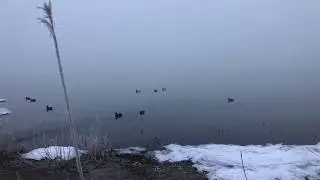 Hunting in the Fog | Utah Lake Duck Hunt