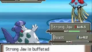 Pokemon Platinum [Part 48: Routes 219, 220 & 221]