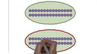 Gregg Lab Allele Silencing in Subpopulations of Cells