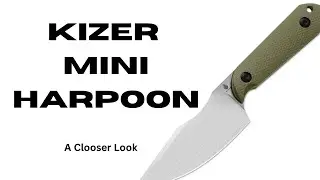 A Closer Look Kizer Mini Harpoon