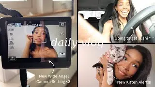 Daily Vlog: got a kitten + eating sushi + venting + art museum date