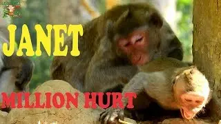 JANET CRY LOUDLY ANGRY MOM JANE BITTEN HER , JANET HURT SHOUT ESCAPE FROM MOM JANE DID BAD ON HER |
