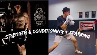 Combat Sports Athlete S&C Workout | Sparring