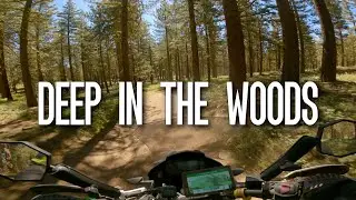 Adventure Ride Frazier Mountain