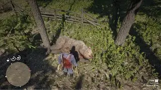 Nature reacts | RDR2