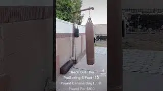 ProBoxing 6 Foot 150Lb Banana Bag