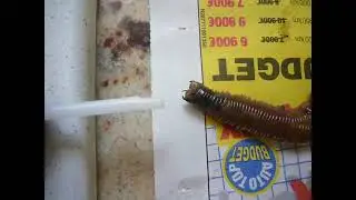 App&acirc;t p&ecirc;che en mer