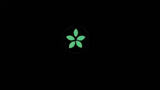 CASE STUDY | Animation Logo | After Effect