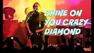 Pink Floyd Tribute Band, THE MACHINE, Performs, 