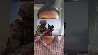 Robotic Dogs 🤖 Multi-Utility Legged Equipment (MULE)