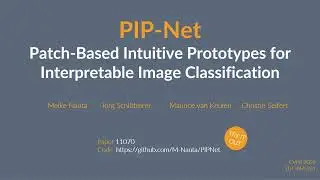 P20 - PIP-Net: Patch-Based Intuitive Prototypes for Interpretable Image Classification