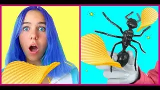 Brother VS sister - Funny pranks *Ant in chips/Skilful Foxy