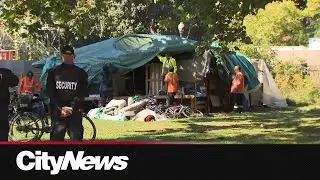 Advocate, councillor react to Allan Gardens encampments clearing