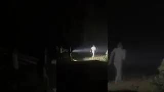 FOREST OFFICERS trying to stop a herd of elephants from moving towards the settlemet .