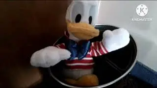 Donaldducc best nightmare ever reversed 
