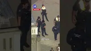 Hundreds of teens storm supermarket after beach brawl | 9 News Australia