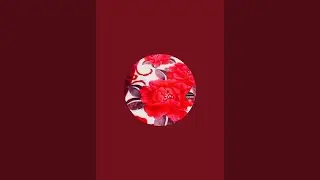 Nazeer Son nsar is live