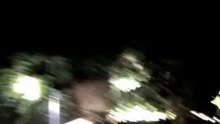 spotlighting pigs out of the Baconator