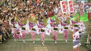 阿呆連 📍阿波おどり (あわぎん南内町演舞場) 2024-08-13T19:26