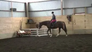 Emma & Annas ridtips del 4
