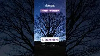 Transitions in reflective practice. Principle 2 of the STRATA model. #reflection #reflectivepractice