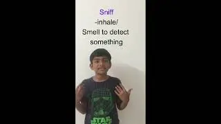 Sniff Meaning and Pronunciation | Think Pods #shorts