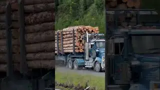 The Fury Of The Jakobs Engine Brakes #newzealand #nztrucking #truckdriver #loggingtruck