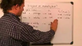 371 Lecture 2l