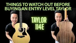 WATCH THIS BEFORE BUYING AN ENTRY LEVEL - TAYLOR 114e 