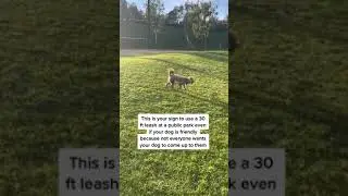 Responsible dog owners unite🫡