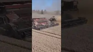 NEXAT😍 #fy #fyp #viral #farming footage from @g@gabry982