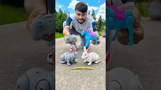 Remote Control Rabbit🐇 and RC Horse🐎 testing