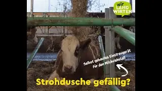 Selbst gemacht: Automatisch einstreuen