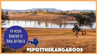 ROADTRIP TO RURAL AUSTRALIA // Ep #328 *Aussie Family Vlog*